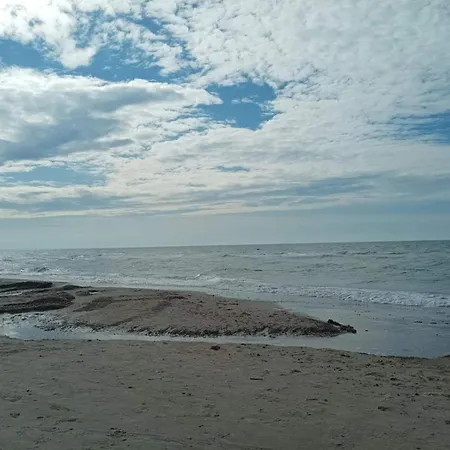 Apartment 6 Person In *